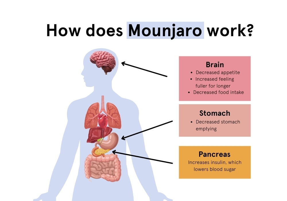 How Does Mounjaro Work For Weight Loss?